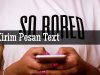 Kirim Pesan Text